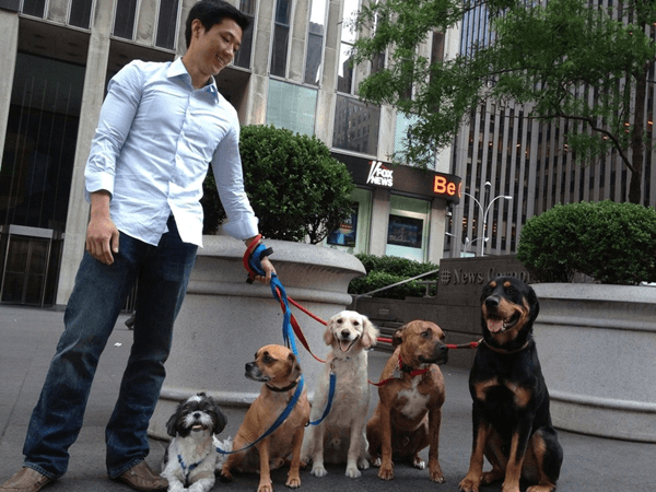 dog sitting side hustle