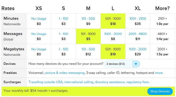 ting pricing chart