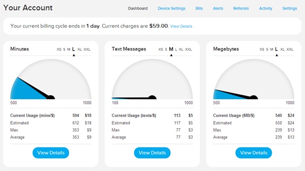 ting usage