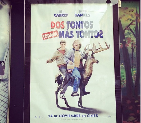 dos tontos mas tontos