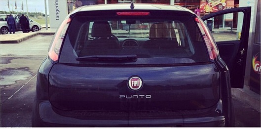 fiat punto