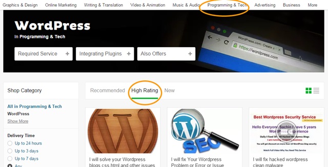fiverr gigs for wordpress