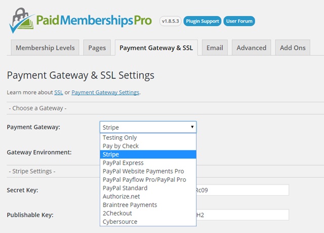 pmp payment processing