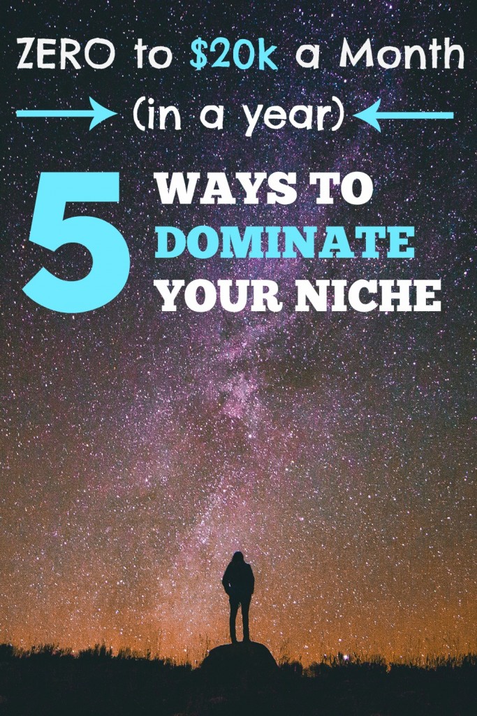 niche domination