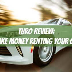 turo review owner
