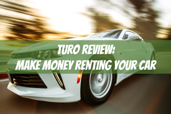 turo review owner