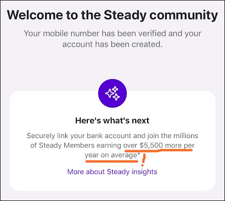 steady app average earnings