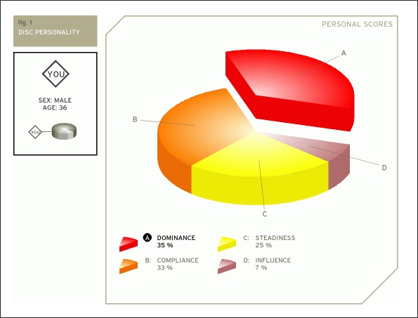 disc assessment results