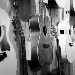 guitars on wall