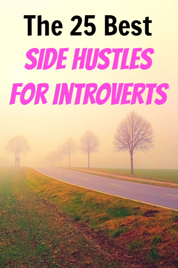 best side hustles for introverts