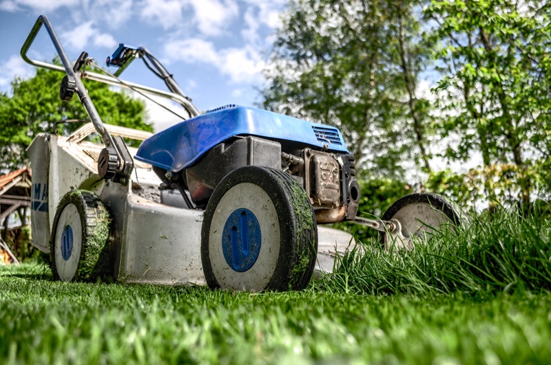 lawn care side hustle