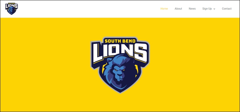 lions.gg domain flip