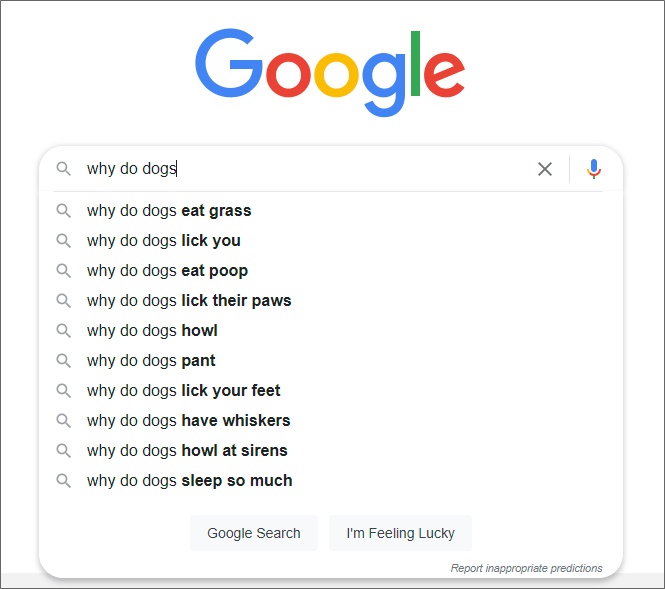 google auto suggest