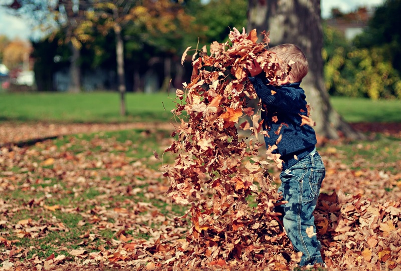 kid raking leaves